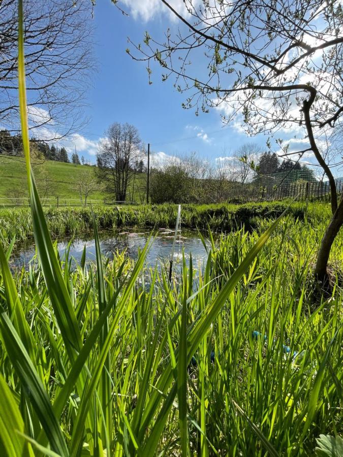 Miramont Horse Trekking Hostel Saicourt Zewnętrze zdjęcie